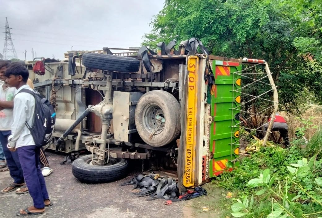 Pickup overturns while trying to save cattle; driver and helper injured