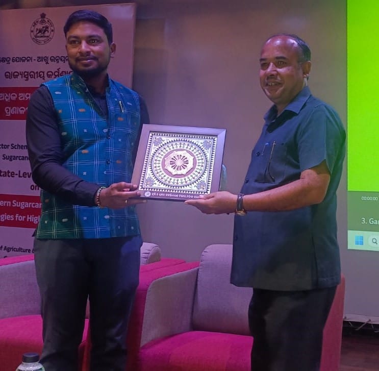 Shared views on modern sugarcane production techniques.