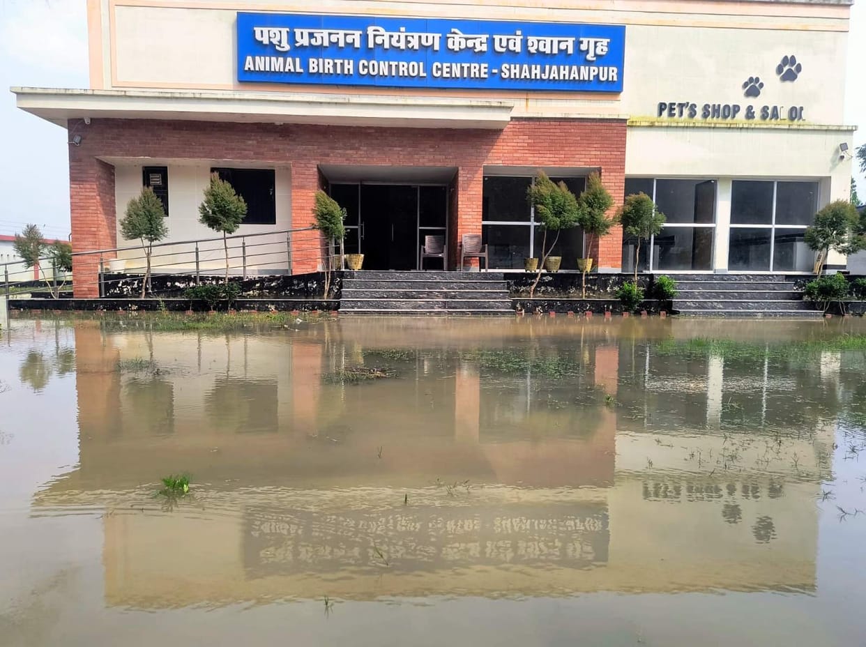Water entered the ABC Center...staff missing except for the dogs.