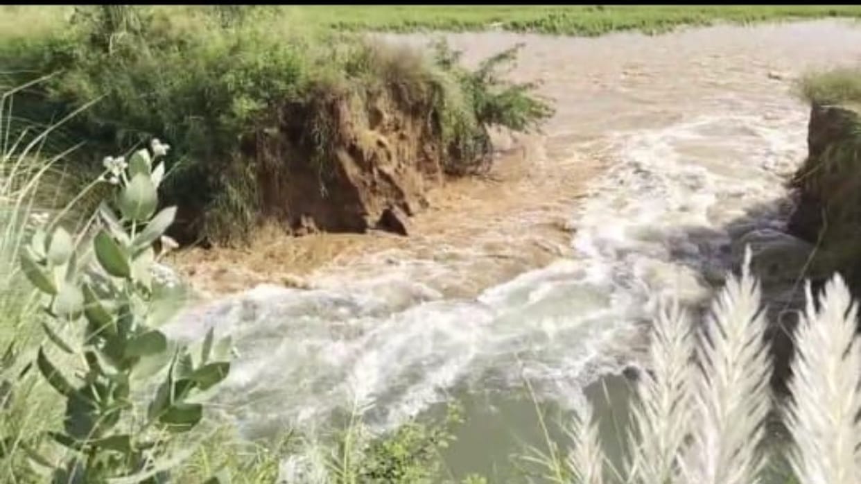 Broken Sherawali canal near Dadba Kalan, 25 acres of paddy crop submerged, erosion reached nearly 40 feet