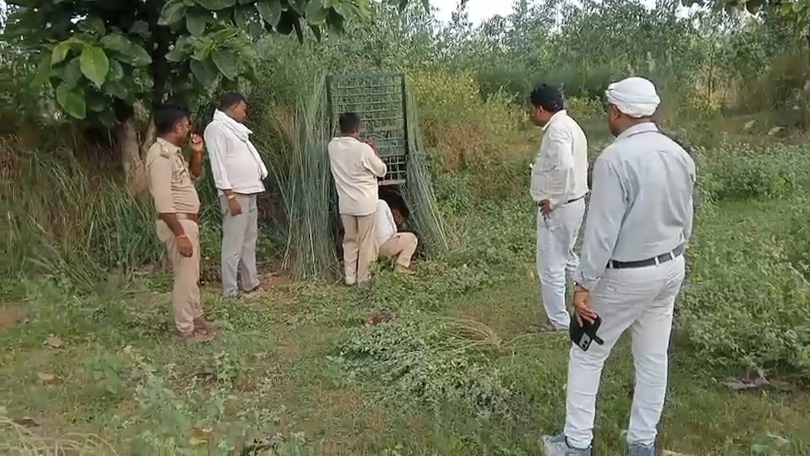  शिवपुर के पुजारीपुरवा में तेंदुए को पकड़ने के लिए लगाया जा रहा पिंजरा।