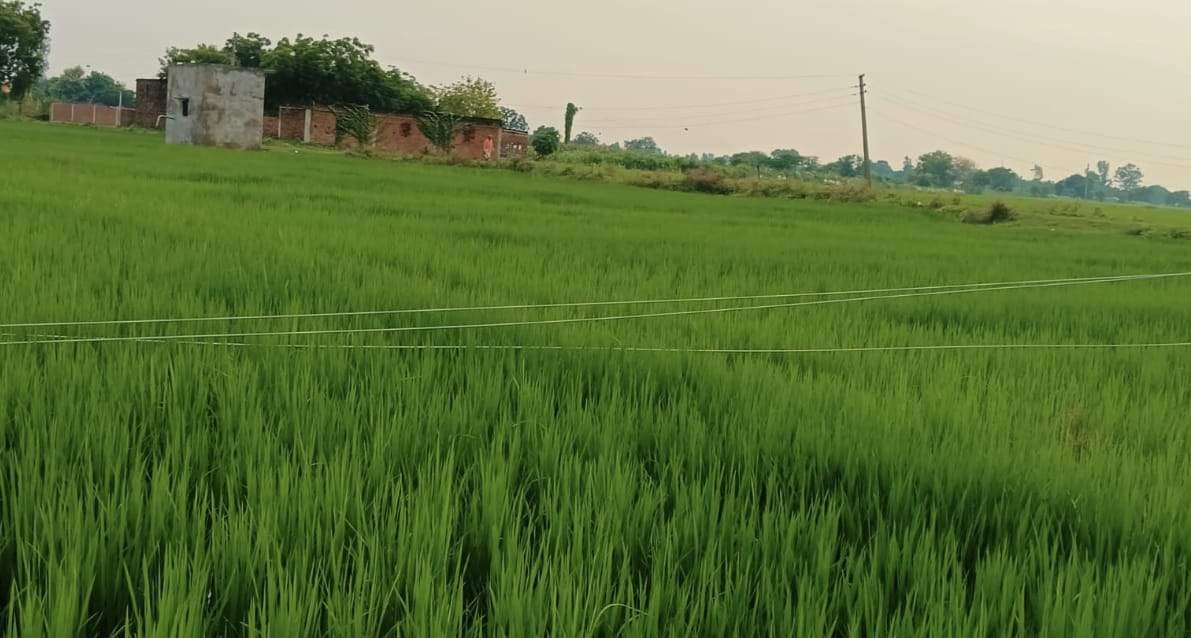 A dilapidated pole fell into a field, causing power outages in five villages.