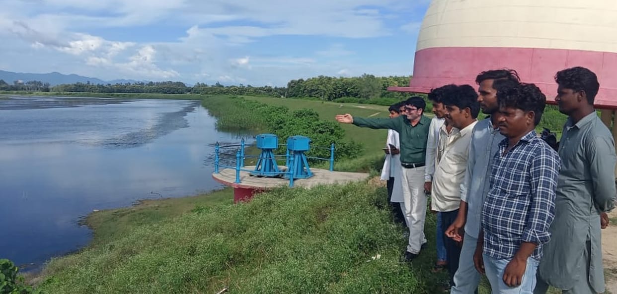 Crowds flock to see crocodile; safety measures absent