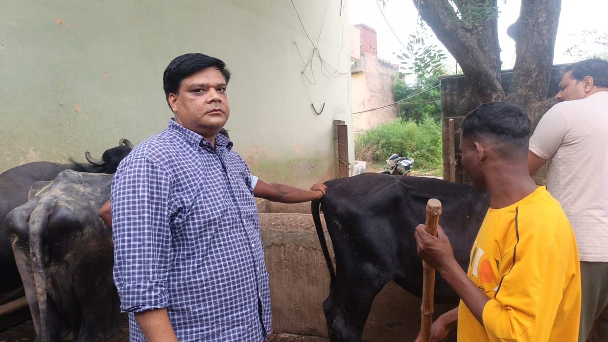 Vaccination drive against Lumpy disease conducted in Kelly, Kol, and Panchi; sick cattle treated.