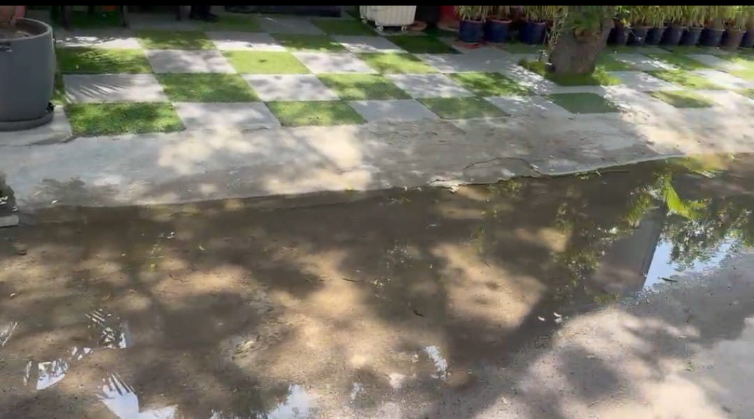 Hear My Voice: Problems Caused by Sewer Overflow