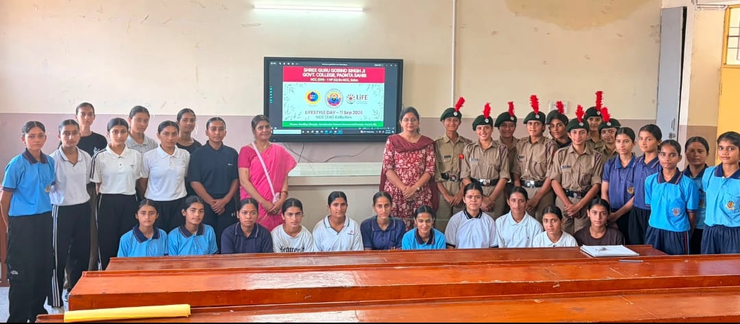 program in ponta college