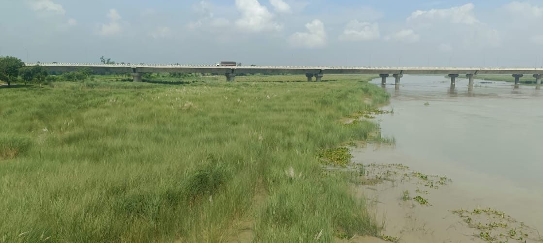 राजेसुल्तानपुर क्षेत्र में कम्हरिया घाट के निकट शुक्रवार को सरयू नदी के जलस्तर में आई कमी। संवा