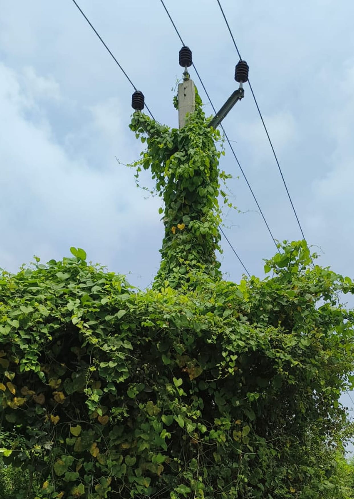 Electricity woes: Power cuts every two hours.