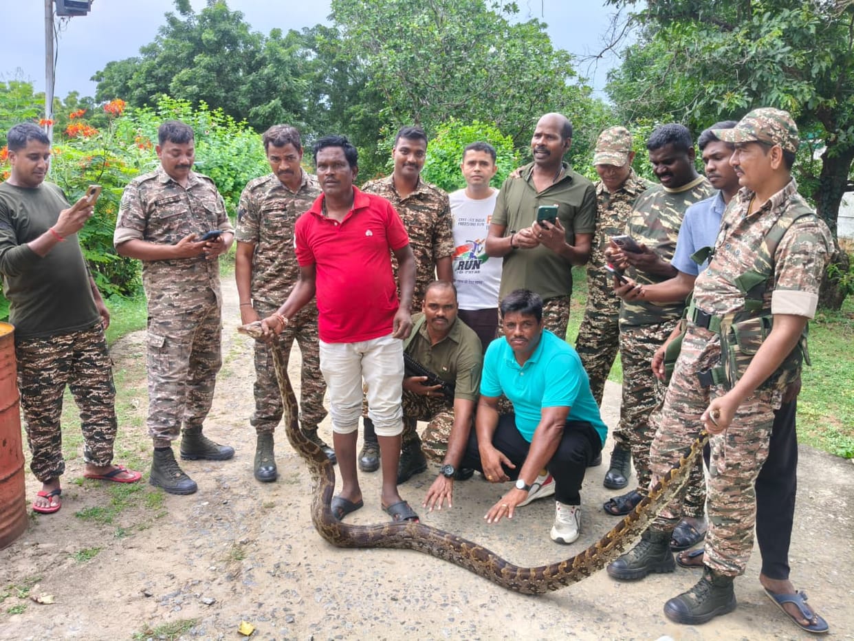 20-Foot Python Enters CRPF Headquarters in Sukma, Safely Rescued by Jawan and Forest Department Team