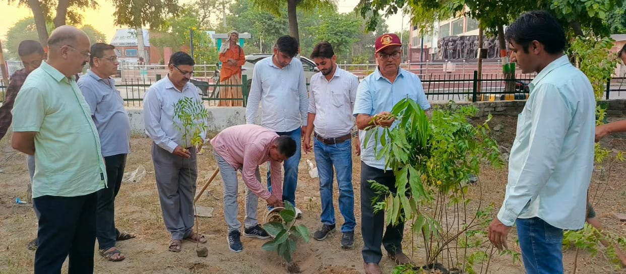 The organization launched a tree plantation drive in memory of the 363 environmental martyrs of Khejarli