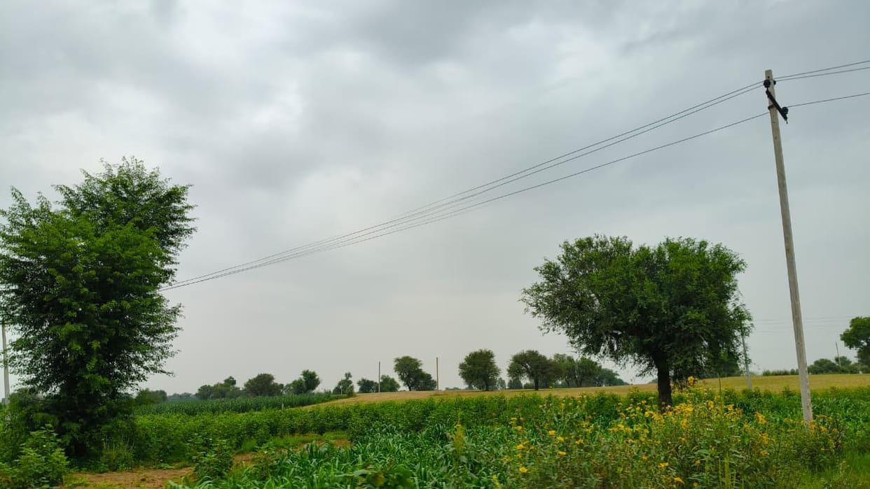 20 crore to be spent on paving farm access paths; work to begin in Dadri and Badhra blocks