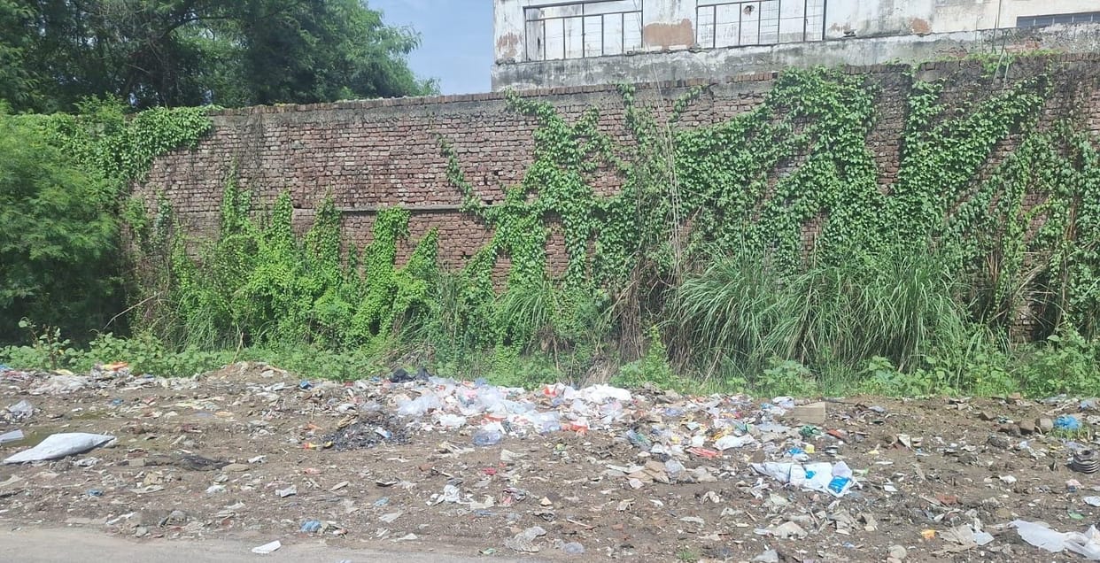 Hear My Voice: Garbage by the Roadside