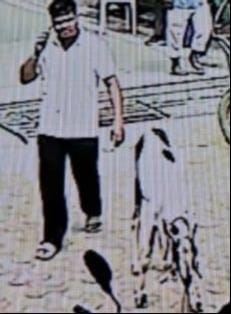 A young man arrived at the CHC with a goat suffering from snakebite.