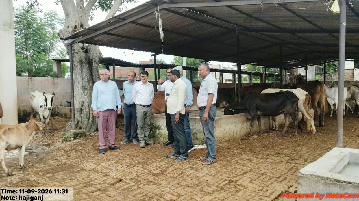 The Additional Director issued instructions to maintain cleanliness at the cowshed