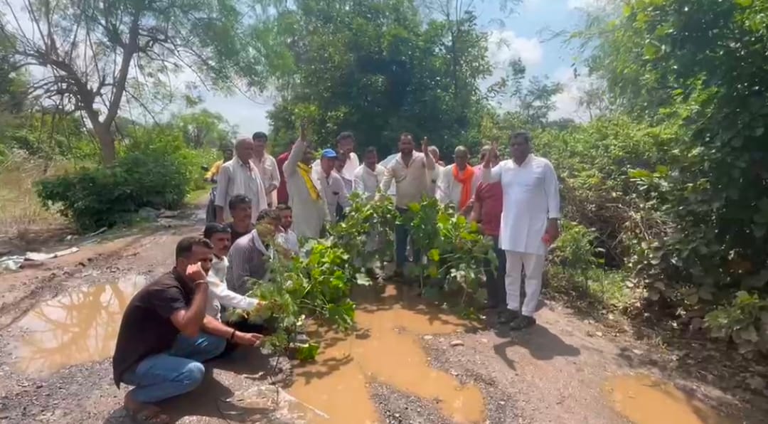 Protests were expressed by planting trees in potholes questions were raised on the poor condition