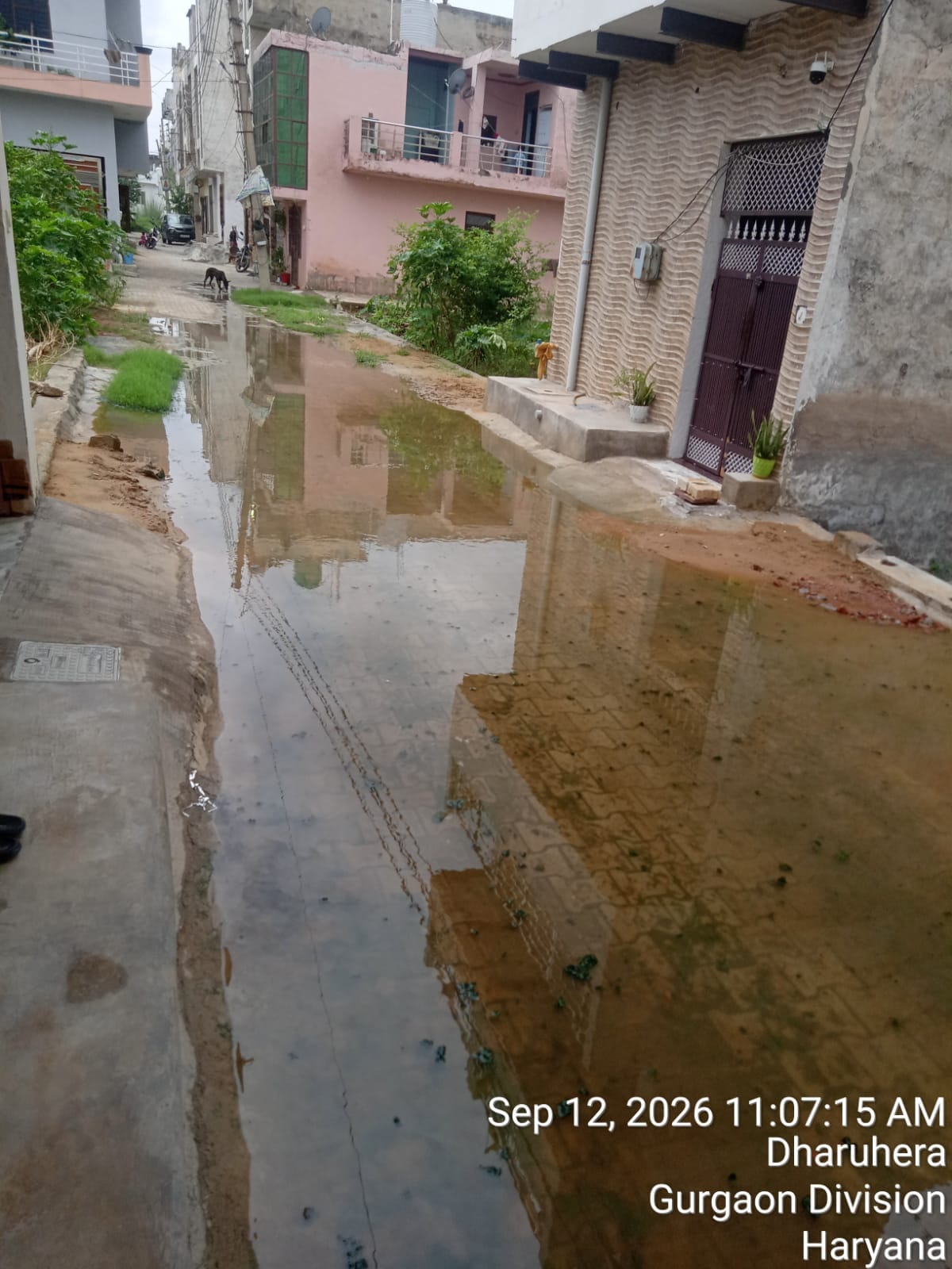 Residents of Syed Colony plagued by overflowing sewage and waterlogging for three years.