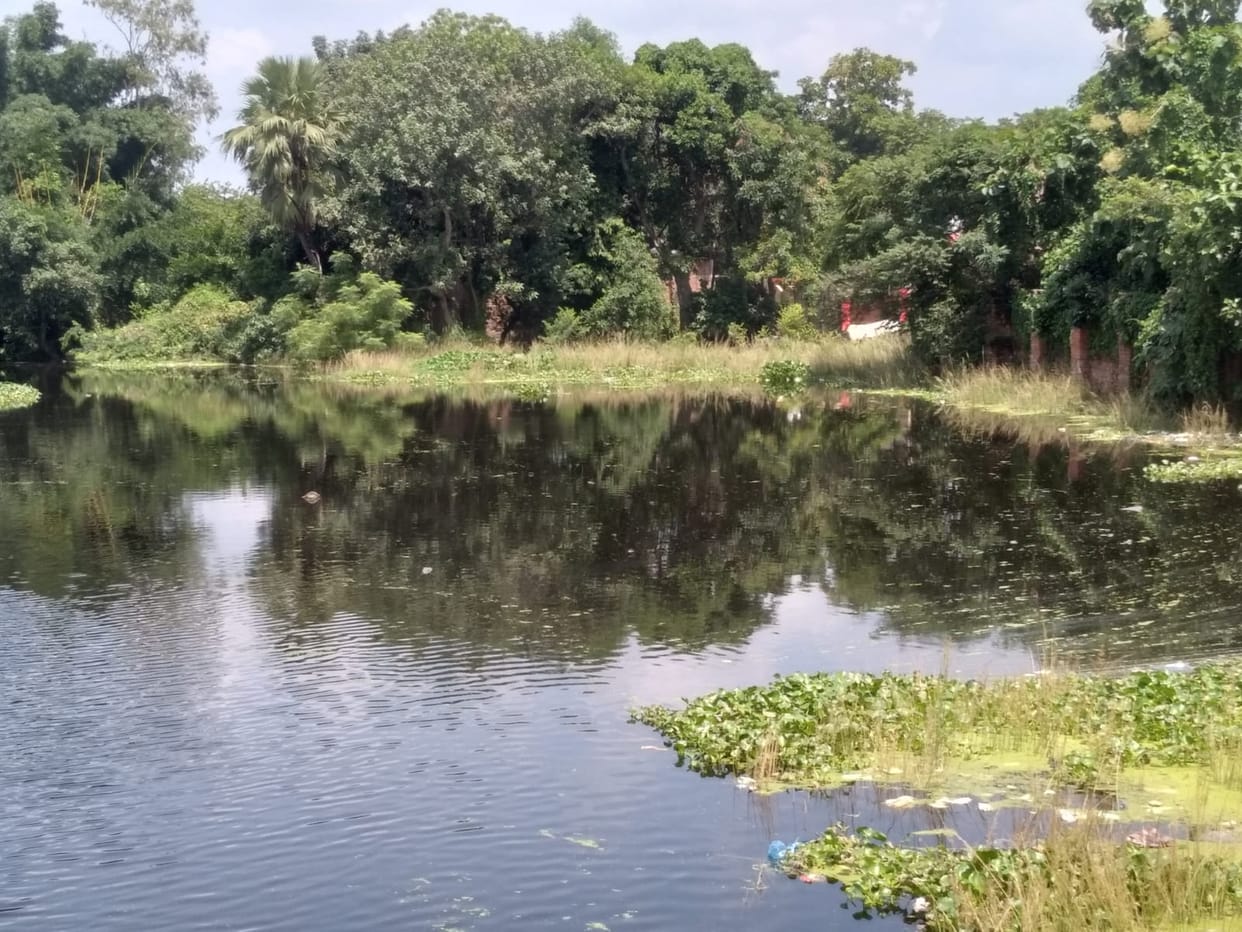 Water level of Sarayu decreased, relief for flood-affected people