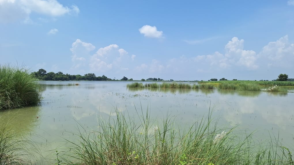 दुबारी के धर्मपुर बिशनपुर में पहुंचा सरयू नदी का पानी। संवाद