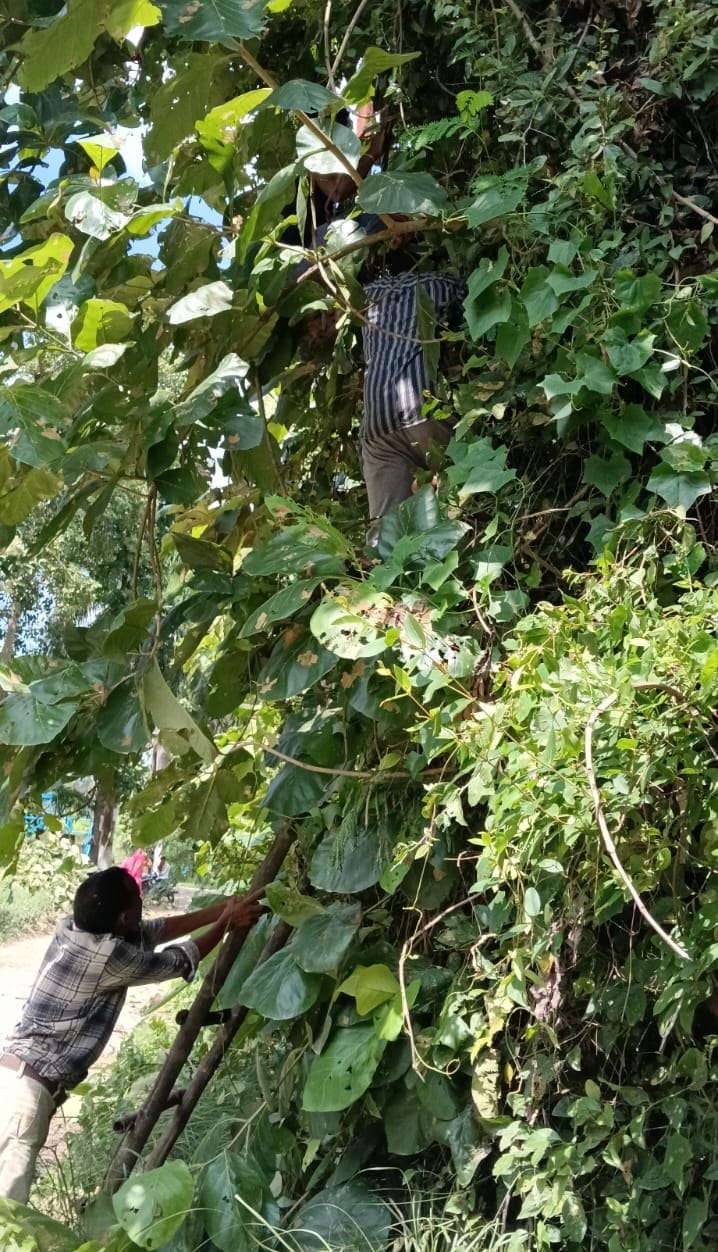 Transformer capacity increased, yet no relief from power cuts