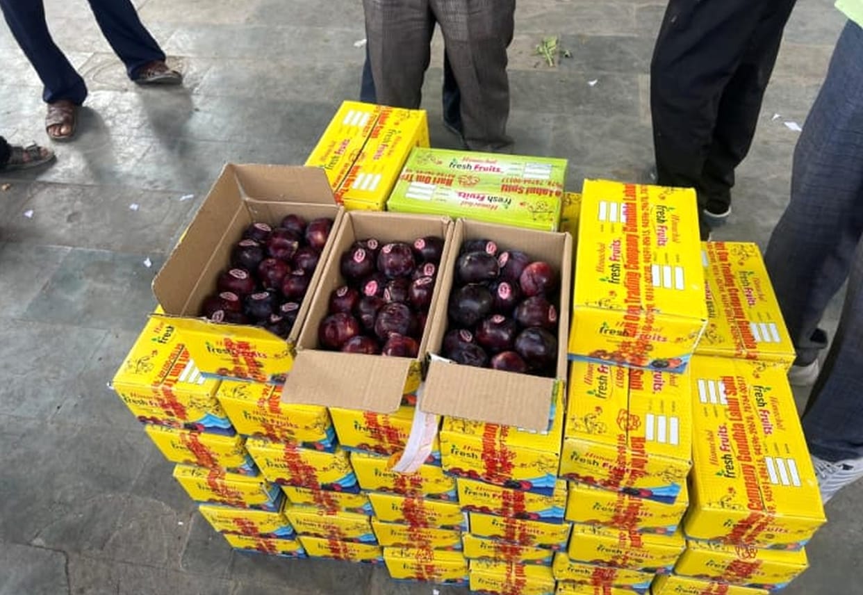 Lahaul's Black Amber plums arrive at Bhuntar Mandi.