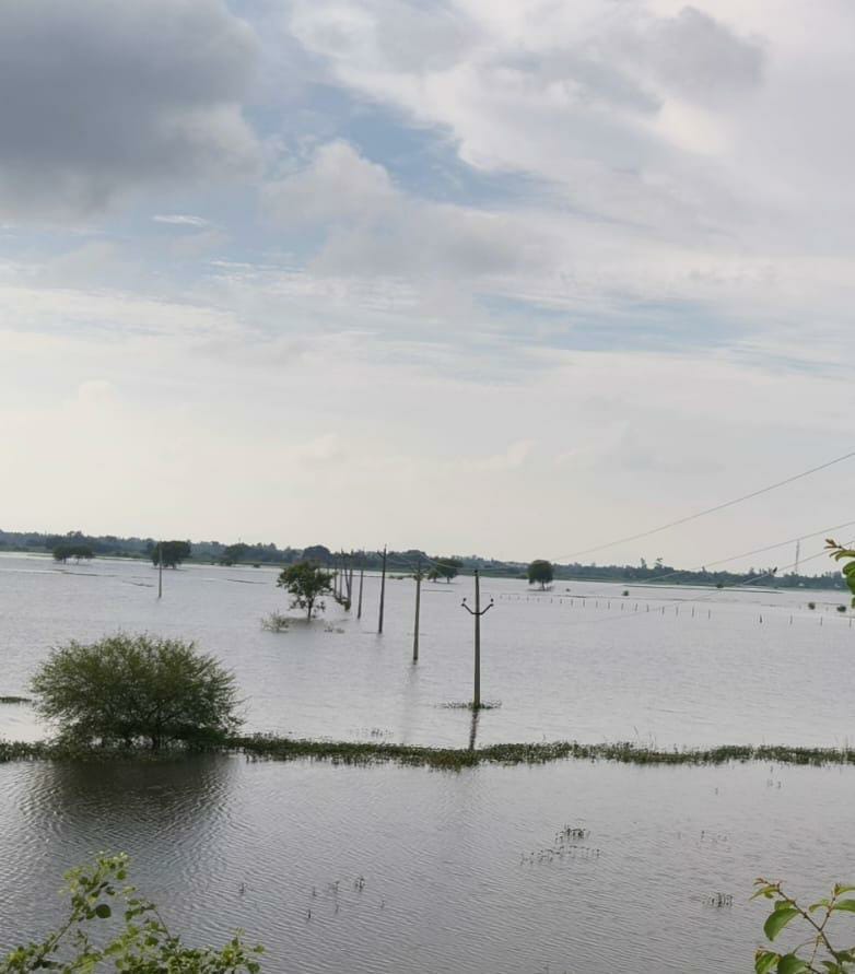 11,000 volts of electricity running through flood-submerged poles.