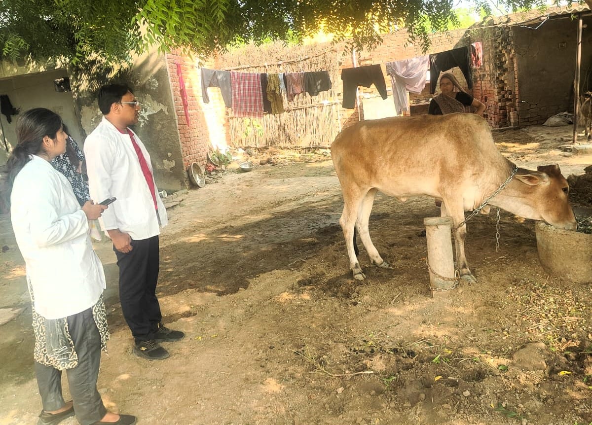 लंपी से पीड़ित गोवंश का टीकाकरण करती पशुपालन विभाग की टीम। स्रोत : विभाग