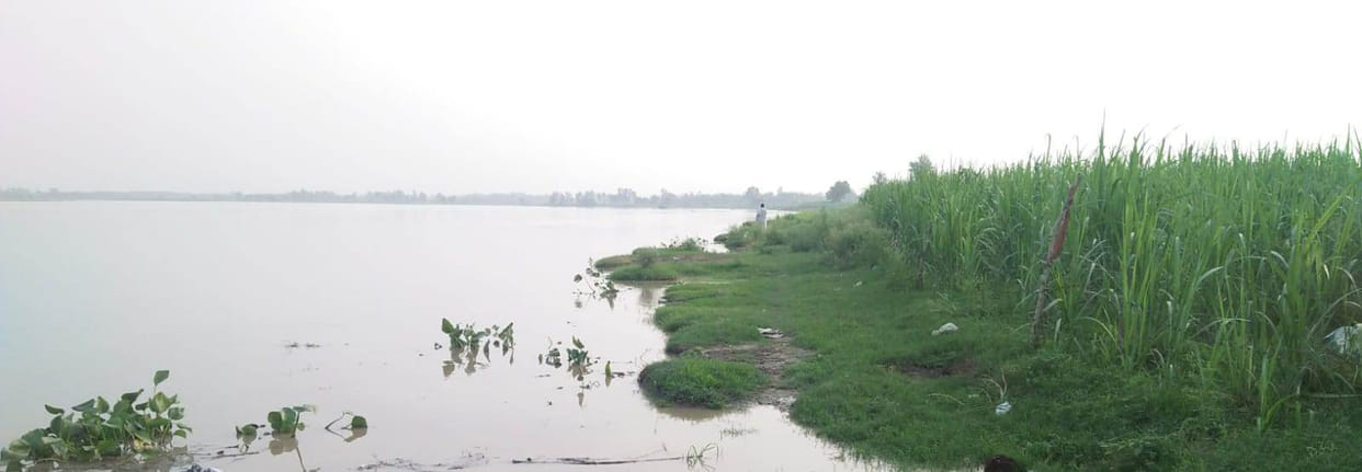 With the cessation of rainfall, discharge from the barrage has decreased, and the water level of the Ganges remains stable.