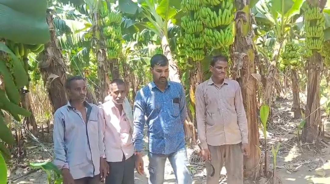 A leopard attacked a villager who had gone to collect fodder in the fields