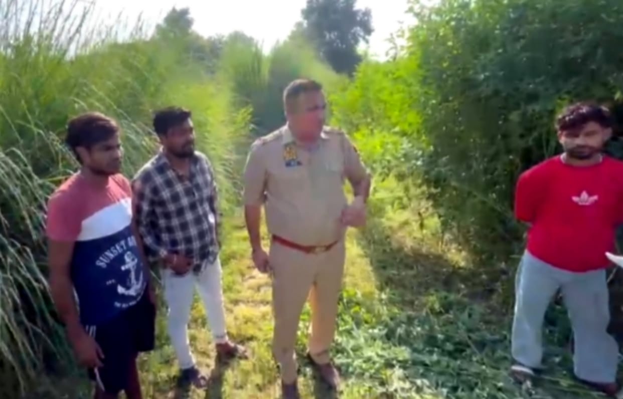 Uproar over discovery of protected animal's remains