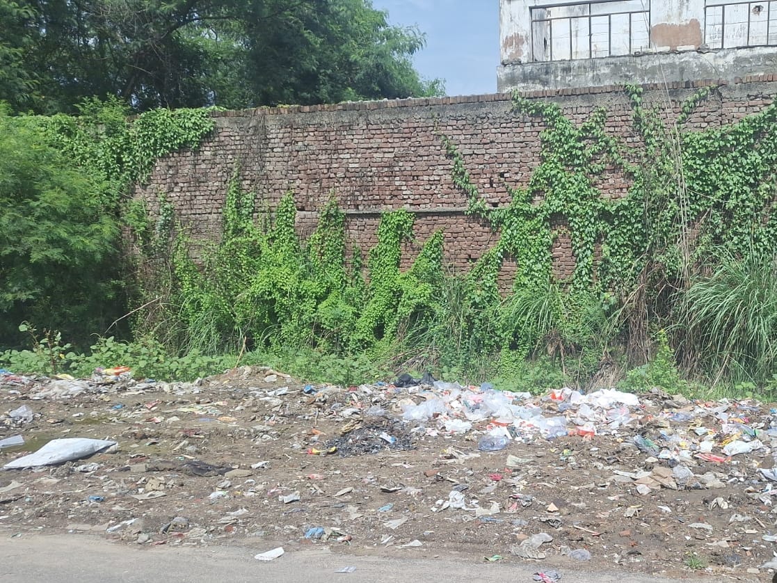 Hear My Voice: A Pile of Garbage on the Road
