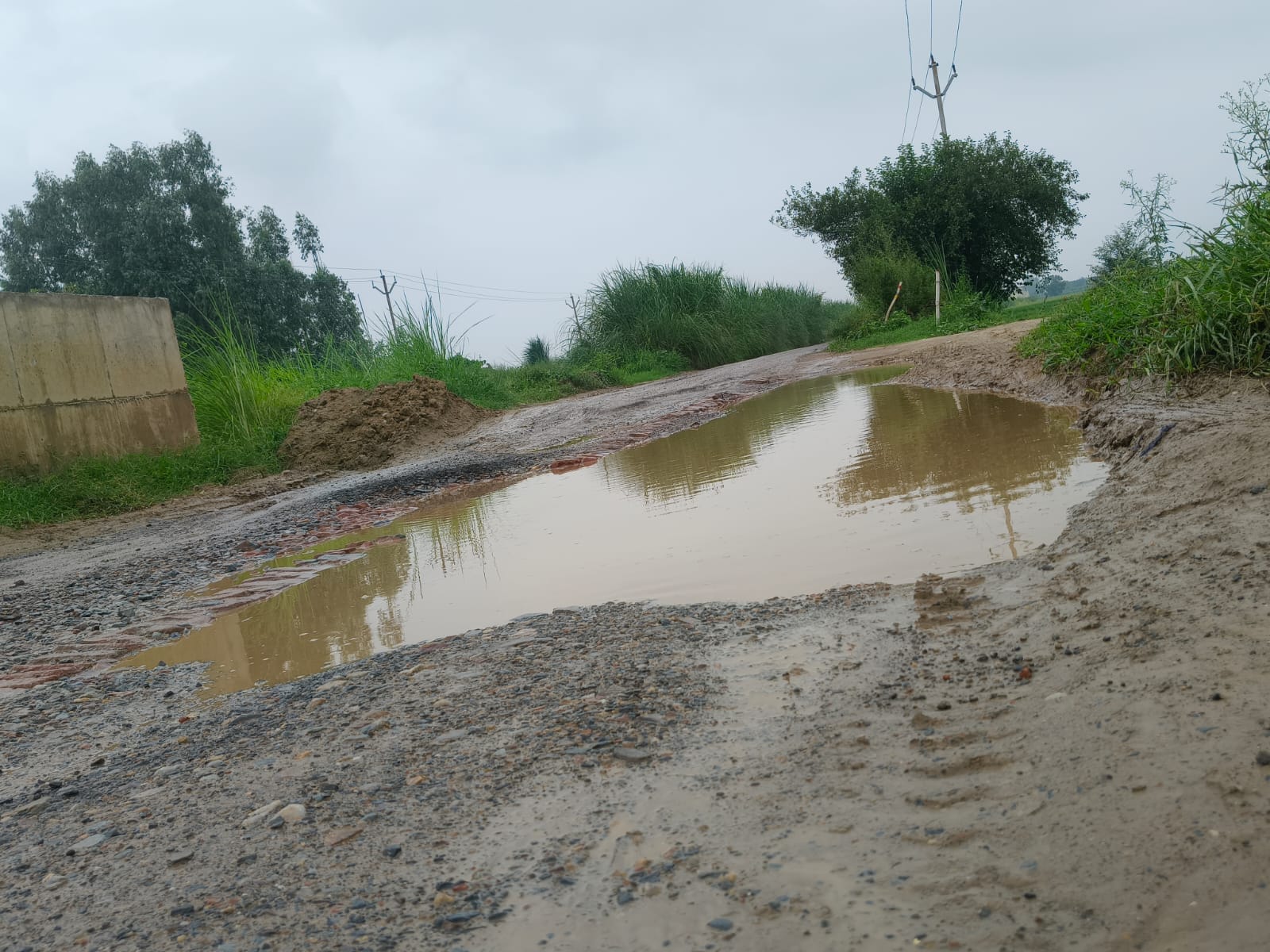 Hear My Voice: Trouble Caused by a Broken Road