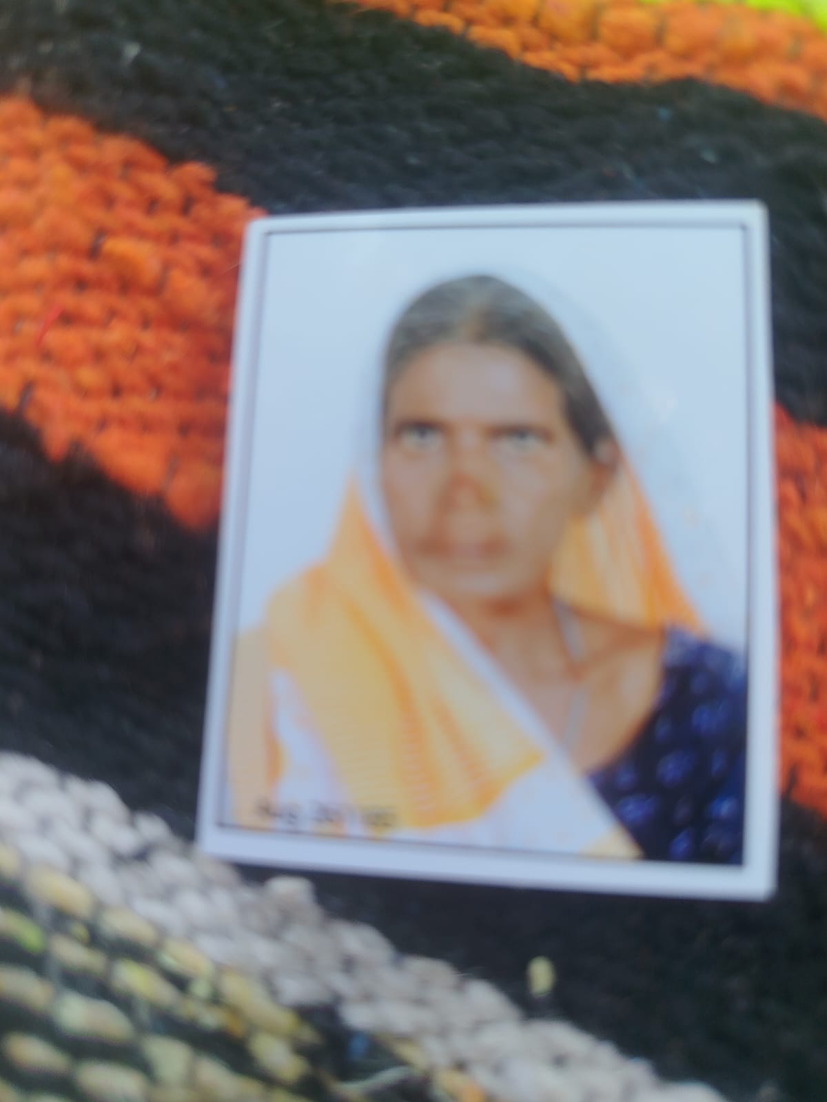 Elderly woman dies in bike accident