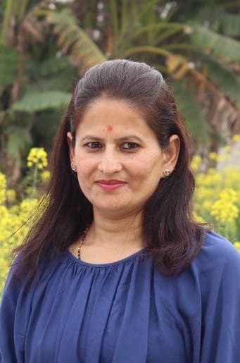 hindi language development