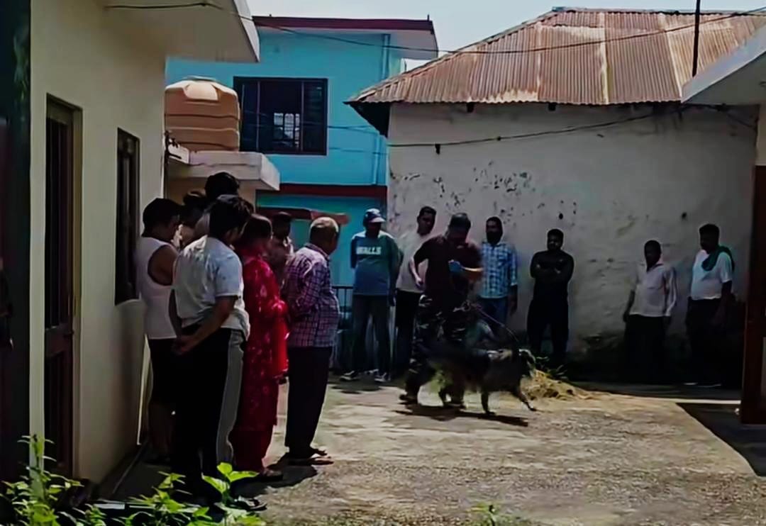 Thieves targeted two houses in Auhar in a single night.