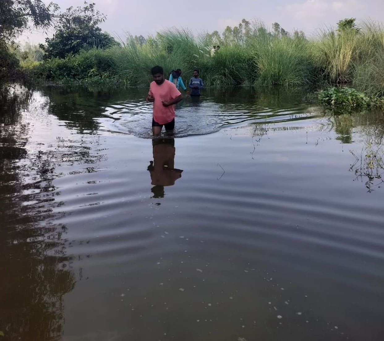Crops submerged and transportation disrupted due to the overflowing Sai River