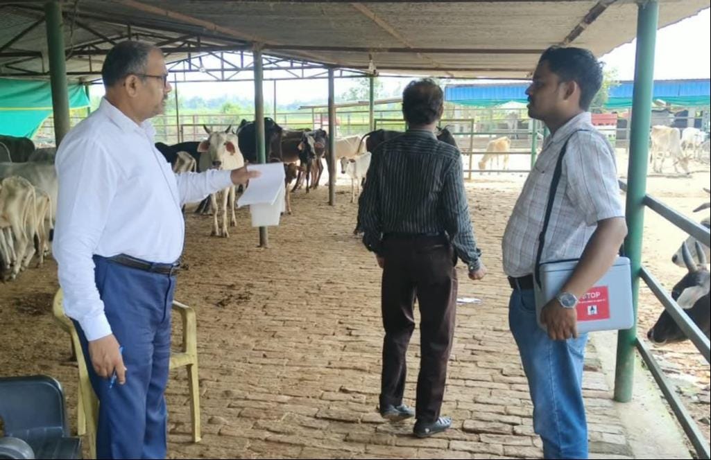 LSD vaccination drive intensified at cattle shelters.
