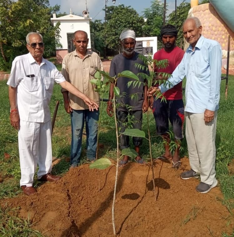 फोटो - रोहतक रोड पर स्थित श्मशान भूमि में पौधरोपण करते हुए संगठन के सदस्य। स्रोत - प्रवक्ता
