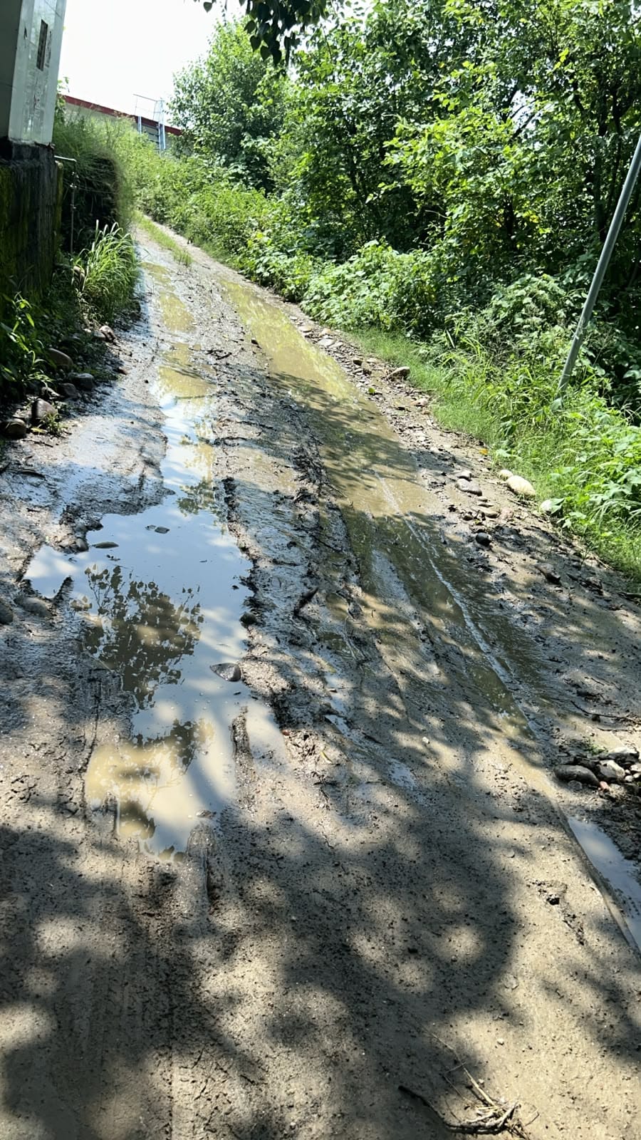 The Tauni Devi-Chhatrail road is in a bad shape due to potholes and mud, making travel a risk.