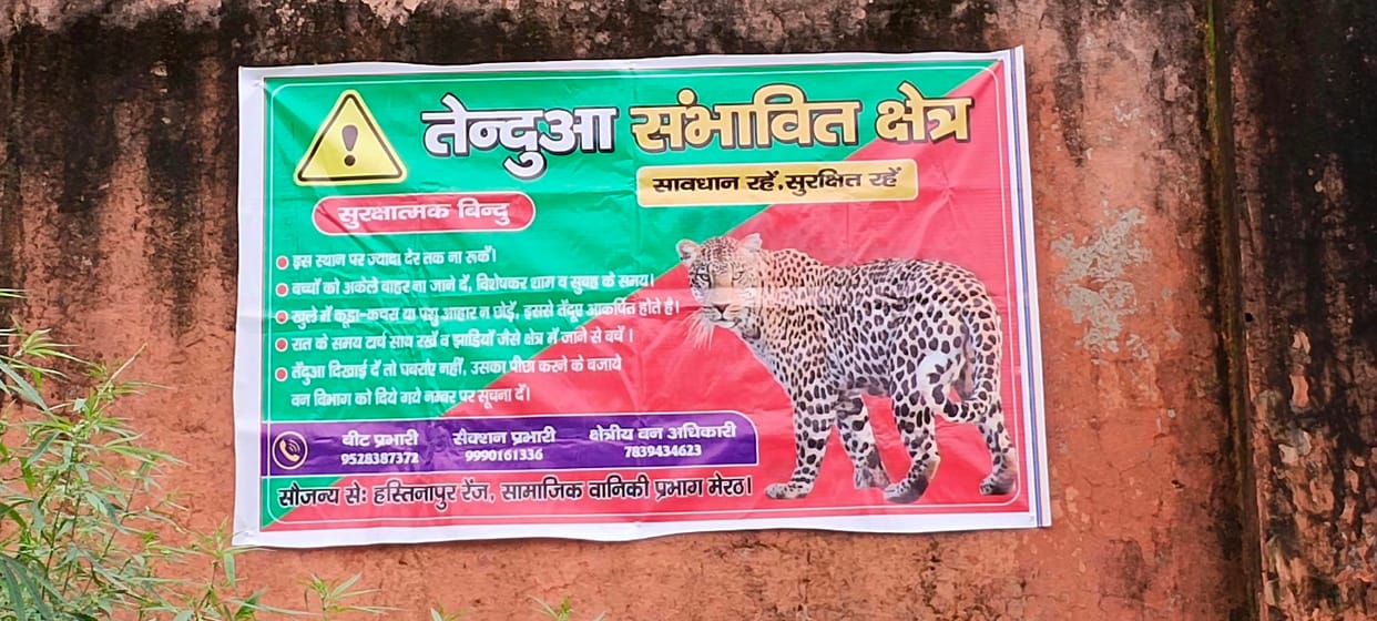 Leopard spotted on the Middle Ganga Canal route; area declared a 'leopard zone'.
