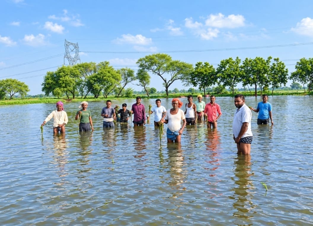 Farmers staged a protest by stepping into a water-logged field.