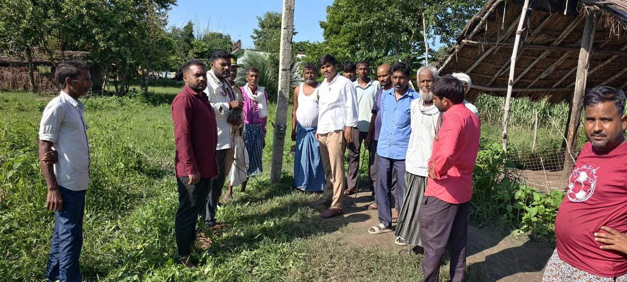 Leopard kills calf tied outside house in Naurangabad farm