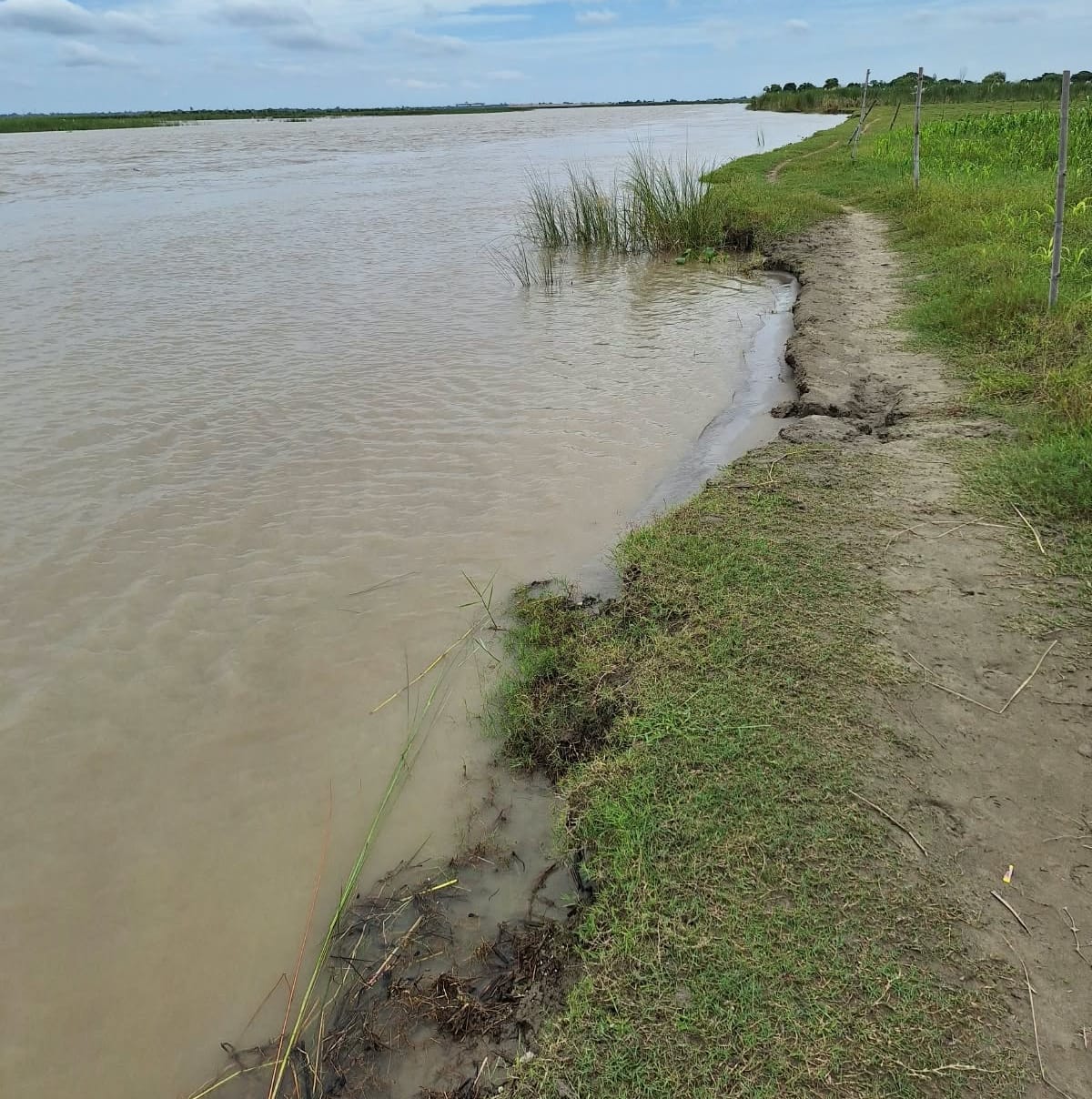 As the water level receded, the Saryu River intensified its erosion.