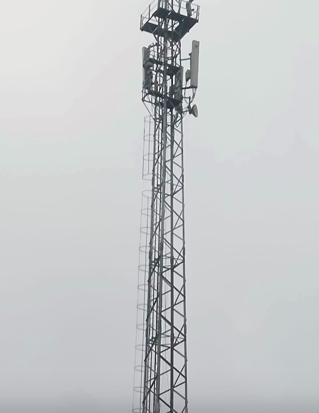 Youth climbs tower in MP's residence complex