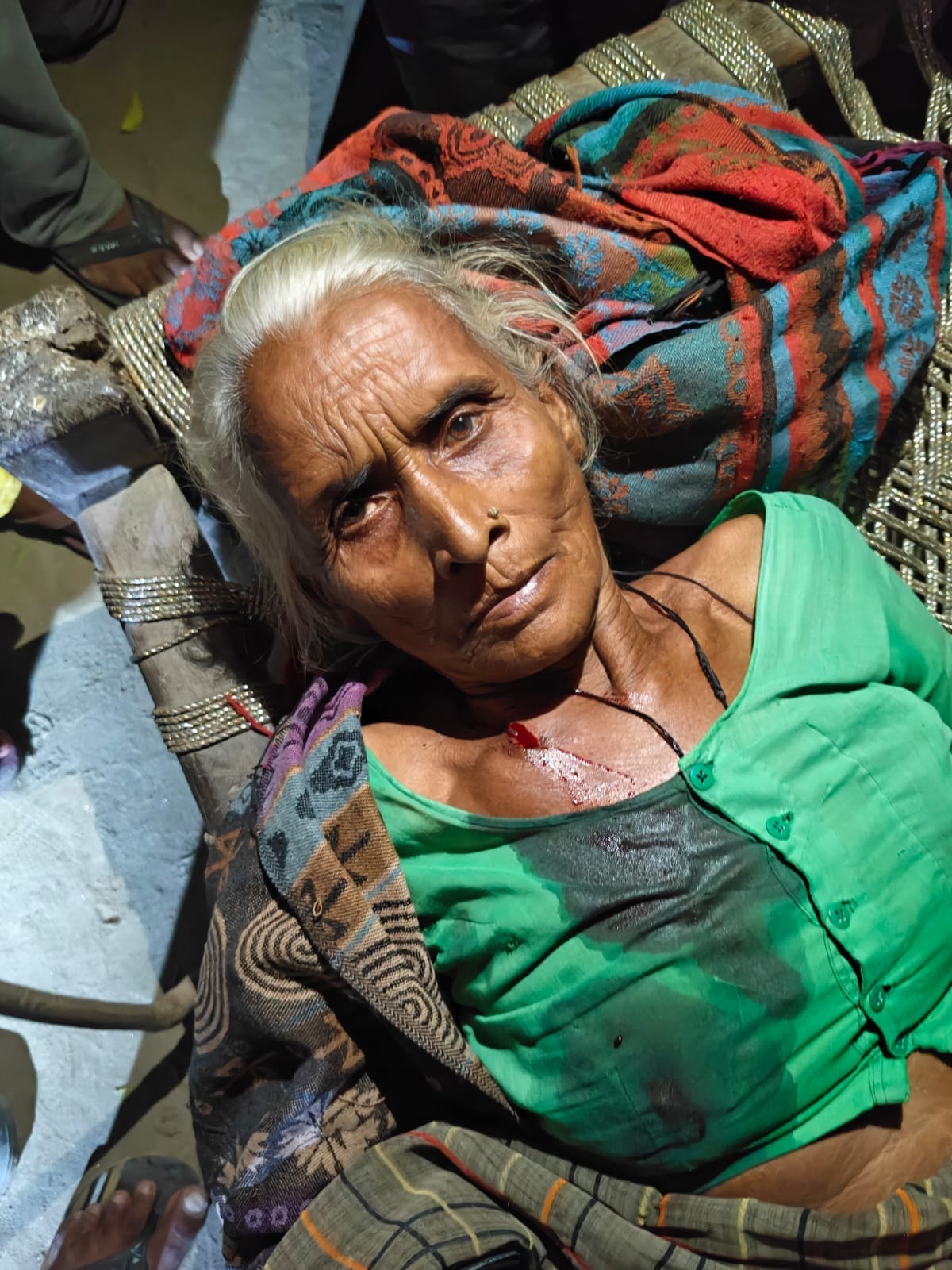 Tiger enters scaffolding and attacks elderly woman
