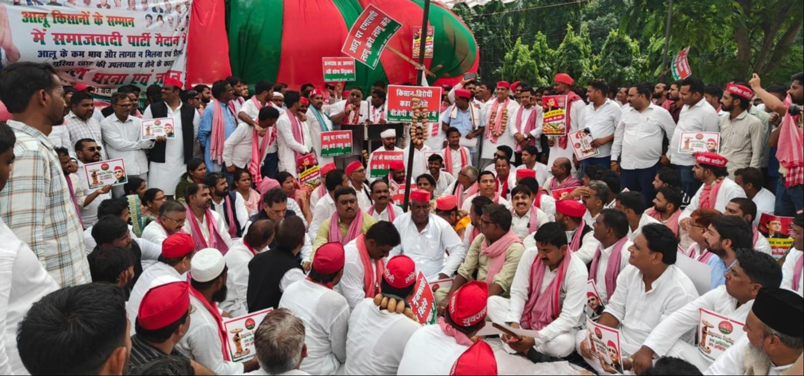 फोटो :26: कलक्ट्रेट परिसर में आलू लेकर प्रदर्शन करते किसान व सपाई। स्रोत : पार्टी