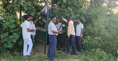 फोटो-27-बलरामपुर के बनकटवा रेंज में पिंजड़ा लगाते कर्मी व दुधवा नेशनल पार्क में बाघ पकड़ने के आ