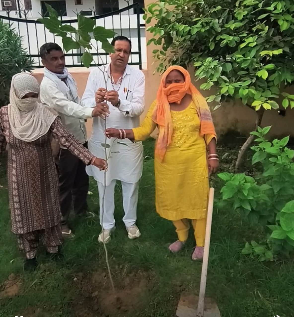 Mulberry saplings planted in the park on Hindi Diwas.