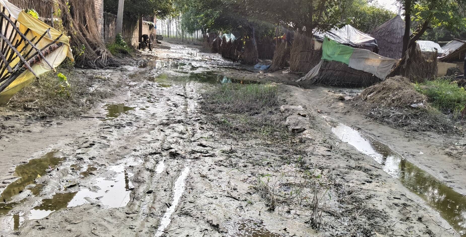 जलालाबाद में गांव में पानी कम होने के बाद भरा कीचड़। संवाद