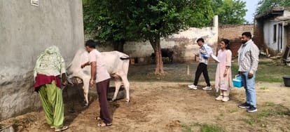 पशुपालक की गाय की जांच करती विभाग की टीम। स्त्रोत: विभाग