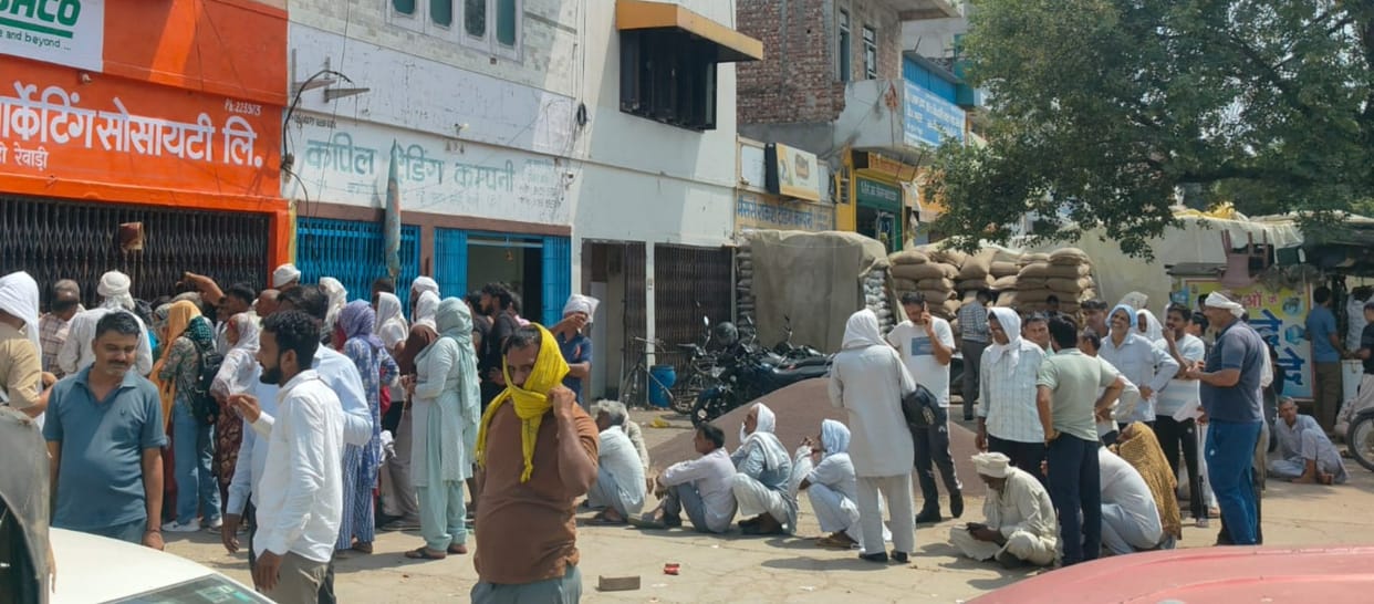 Scramble for DAP; farmers stood in queues under the scorching sun.